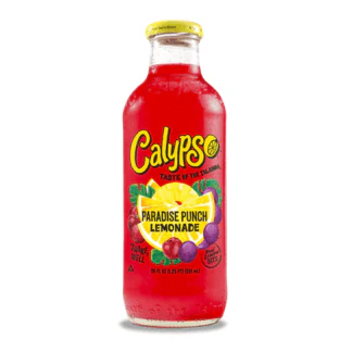 Calypso Paradise Punch Bottle 473ml USA